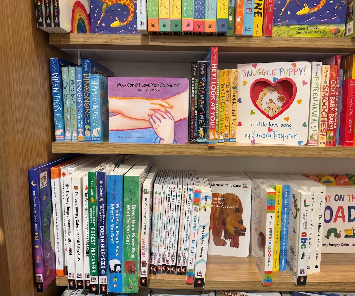 HCILYSM_BShelf4
